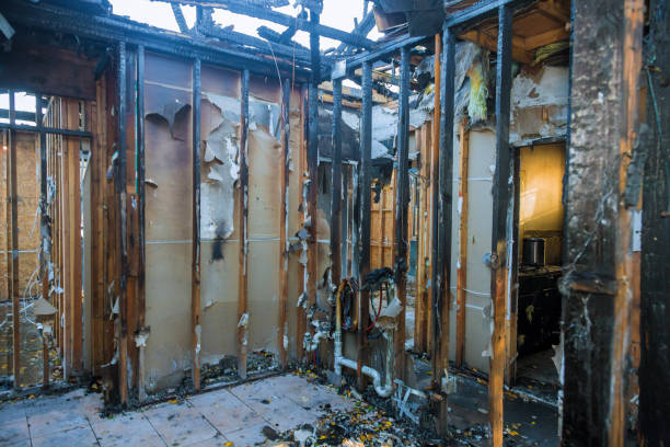 Professional Fire Damage Removal technician working in Farmer City, IL